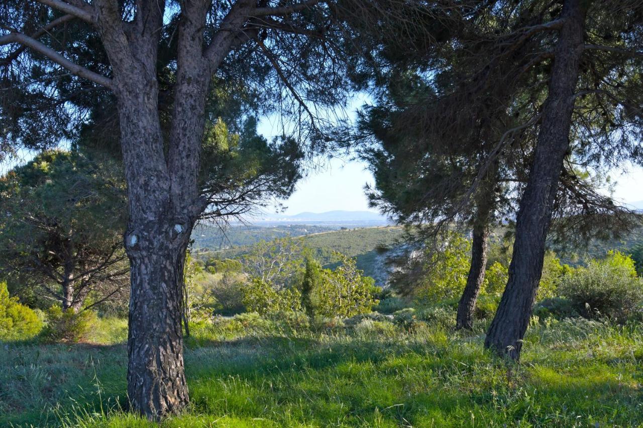 Priamos Kalitehnoupoli Villa Rafína Kültér fotó